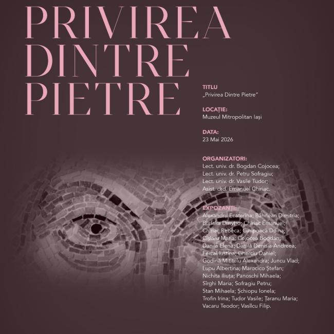 Expoziția „Privirea dintre pietre”