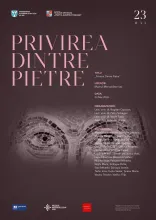 Expoziția „Privirea dintre pietre”